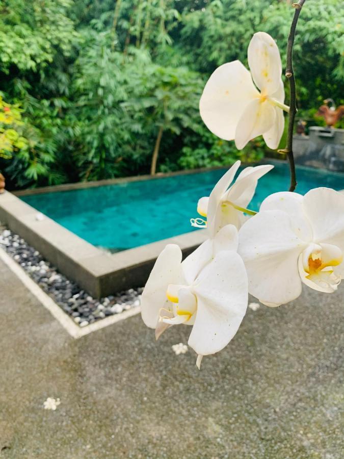 Gek House Ubud Bali Exterior foto