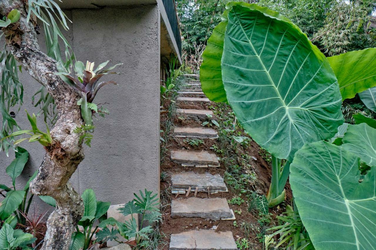 Gek House Ubud Bali Exterior foto